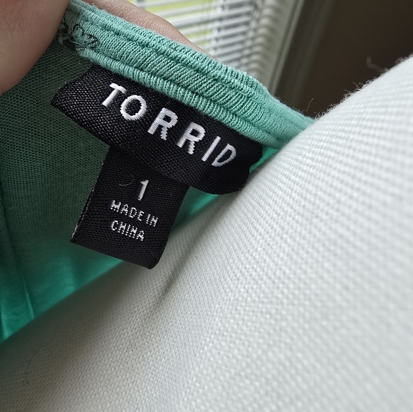 Torrid Mint Green Bee Skater Dress - Picture 4 of 4